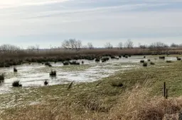 WDOD Herinrichting uiterwaarden Meppelerdiep (5) gesneden (1)