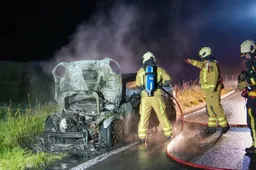autobrandn381