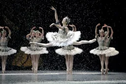 La Danse - Le Ballet de l'Opéra de Paris - recensie