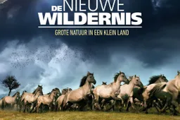 De Nieuwe Wildernis - recensie