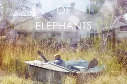 The Weight of Elephants - recensie