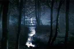 Sfeervolle foto's Lars von Trier's Antichrist