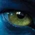 Avatar trailer op 20 augustus online