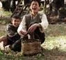 Baaria - dvd recensie