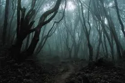 Gratis naar Cabin in the Woods première in het bos