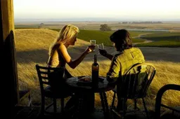 Bottle Shock - dvd recensie
