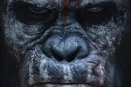 Eerste posters Dawn of the Planet of the Apes