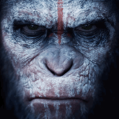 MovieInsiders podcast: Dawn of the Planet of the Apes