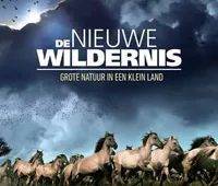 Opvolger Nieuwe Wildernis in de maak