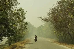 IFFR 2011: Eternity - recensie