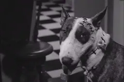 John August schrijft Tim Burton's Frankenweenie