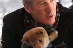 Hachi - recensie