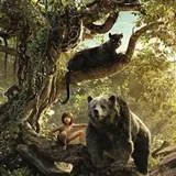 MovieInsiders Podcast: The Jungle Book 2016