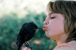 Kauwboy wint 2 prijzen op Noors kinderfilmfestival