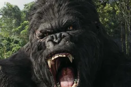 Kong verhuist naar nieuwe studio