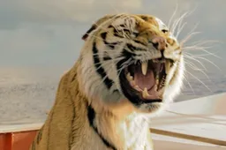 Eerste trailer Ang Lee's Life of Pi