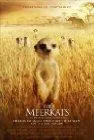 The Meerkats - dvd recensie