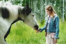 Moondance Alexander - dvd recensie
