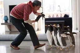Trailer Mr. Popper's Penguins