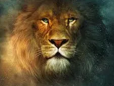 Fox neemt Narnia over