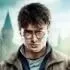 MovieSense TV: Harry Potter and the Deathly Hallows: Part 2 - recensie