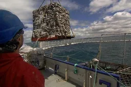 IDFA 2011: Sushi: The Global Catch - recensie