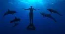 Voorpremière dolfijnenfilm The Cove in CineMec