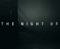 The Night Of - recensie