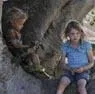 The Tree - recensie