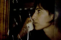 IFFR 2012: Verano - recensie