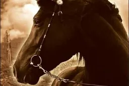 Nieuwe War Horse trailer online