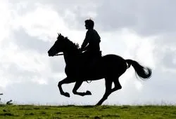 Trailer War Horse van Steven Spielberg