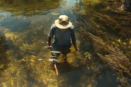 IFFR 2012: Wavumba - recensie