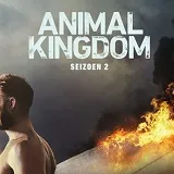 Win Animal Kingdom Seizoen 2 op DVD