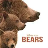 Win vrijkaarten voor Bears