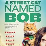 Win A Street Cat Named Bob op DVD