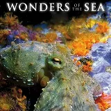 Win Wonders of the Sea op DVD en Blu-ray