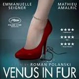 Win Venus in Fur op dvd en blu-ray