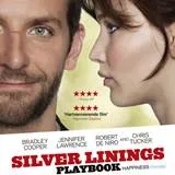 Win Silver Linings Playbook op dvd en blu-ray