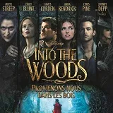 Win Into the Woods op dvd en blu-ray