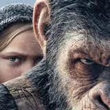 Win vrijkaarten voor War for the Planet of the Apes en een goodie pakket