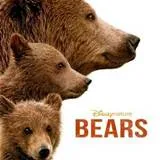 Win Bears op dvd
