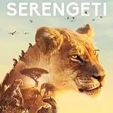Win Serengeti op DVD en Blu-ray