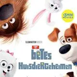 Win The Secret Life of Pets / Huisdiergeheimen op dvd en blu-ray