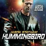Win Hummingbird op dvd en blu-ray
