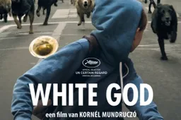 White God - recensie