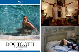 Win Dogtooth op Blu-ray