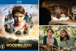 week 11 woodwalkers