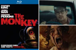 week 28 the monkey