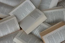 gulfer-ergin-LUGuCtvlk1Q-unsplash